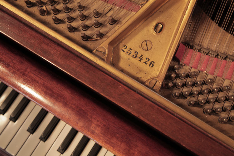 Steinway piano serial number