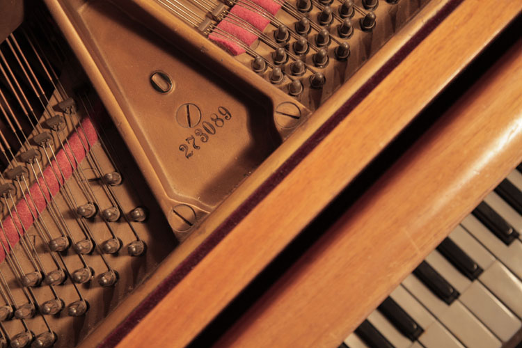 Steinway piano serial number