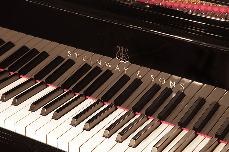 	Steinway piano manufacturers logo on fall