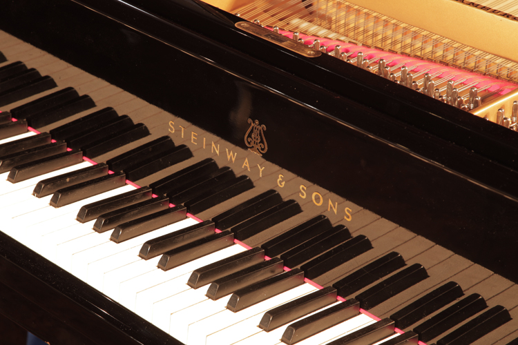 	Steinway piano manufacturers logo on fall
