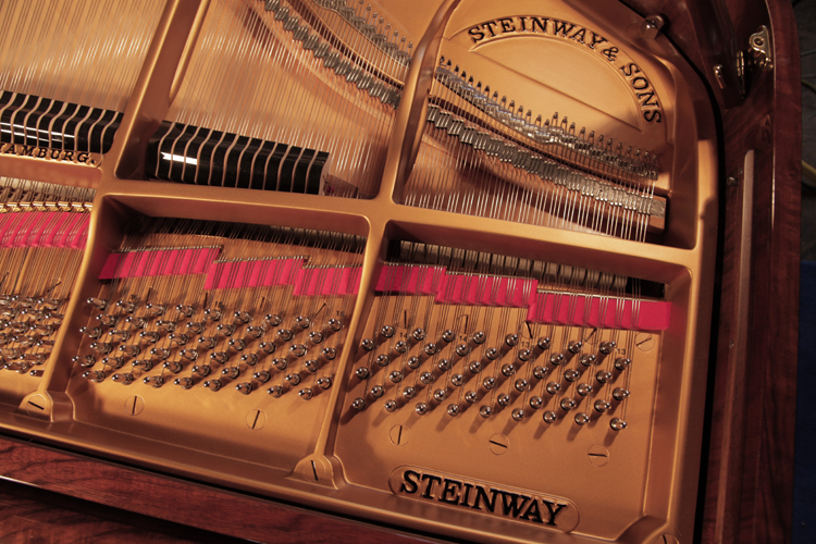 Steinway  manufacturer's name on frame