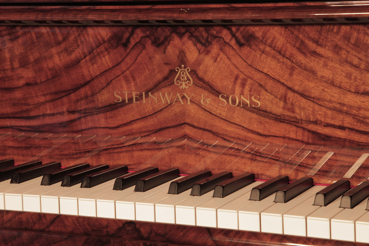 	Steinway piano manufacturers logo   on fall