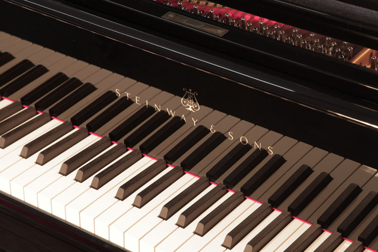 	Steinway piano manufacturers logo   on fall
