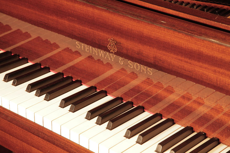 	Steinway piano manufacturers logo   on fall