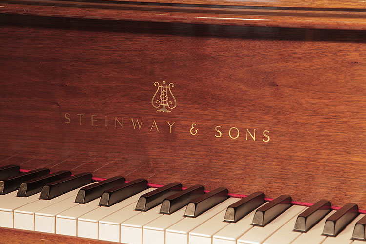 	Steinway piano manufacturers logo   on fall