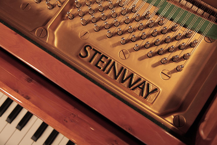 Steinway  manufacturer's name on frame