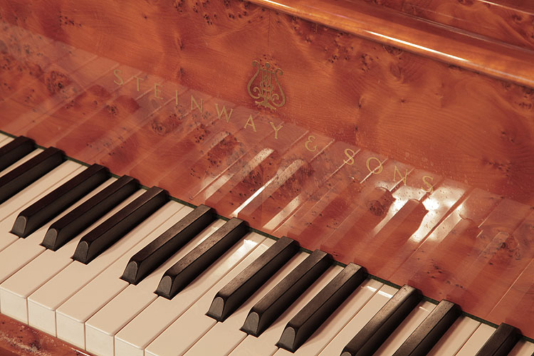 	Steinway piano manufacturers logo   on fall