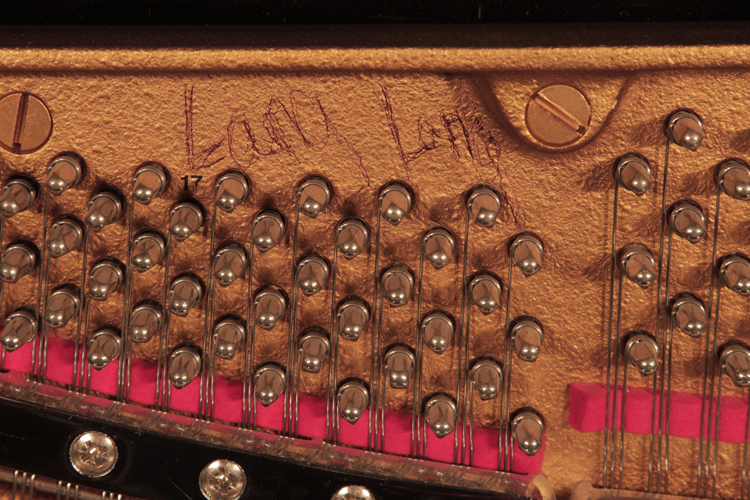 Piano frame signed by Lang Lang