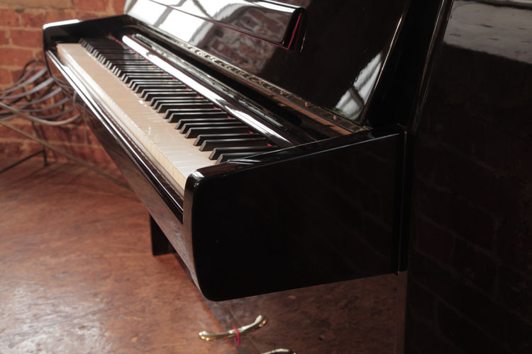Steinway piano cheek 