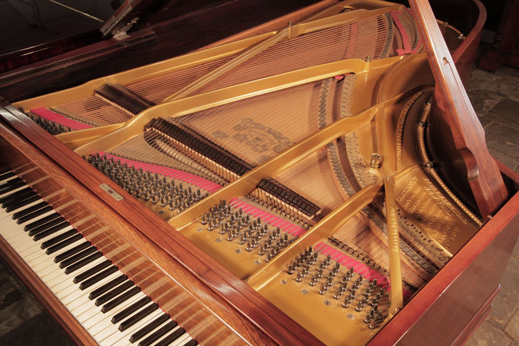 Steinway  restored  instrument