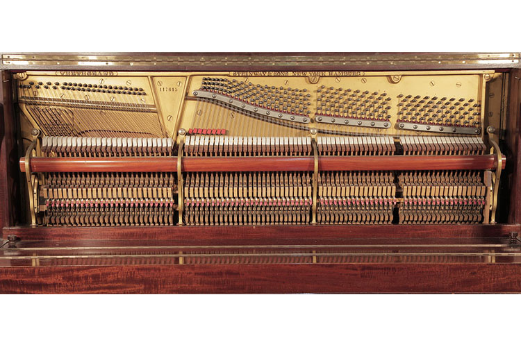 Steinway Instrument 