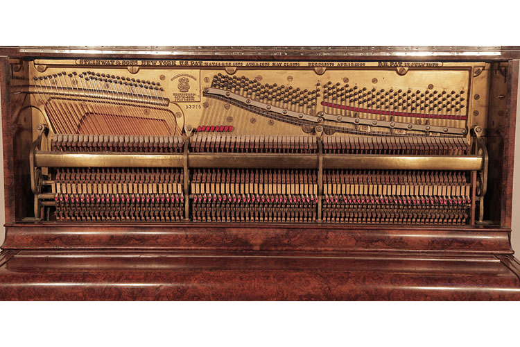 Steinway Instrument 