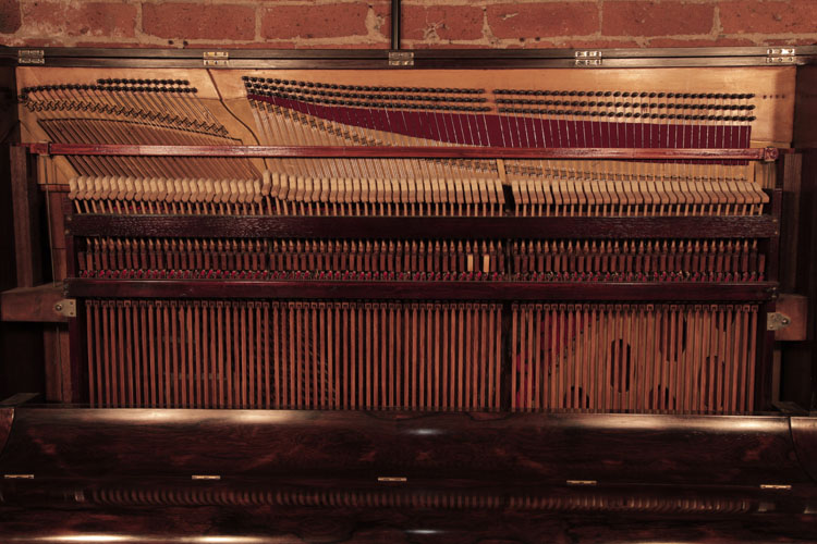 Steinway  instrument