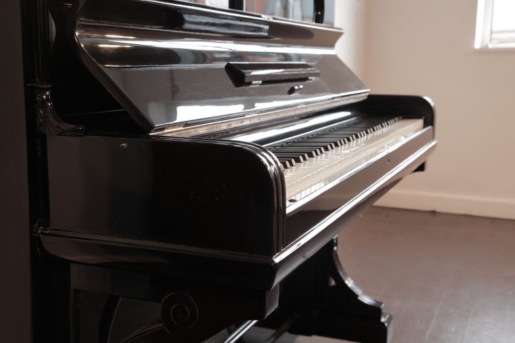 Steinway piano cheek 