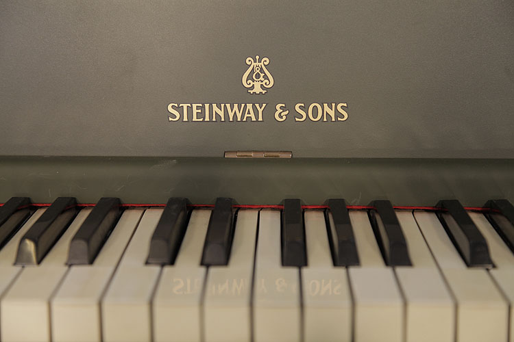 Steinway manufacturer's logo on frame