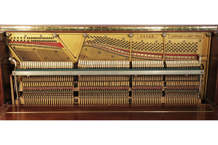 Weber instrument detail